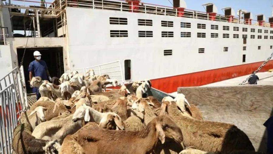 صورة تعبيرية