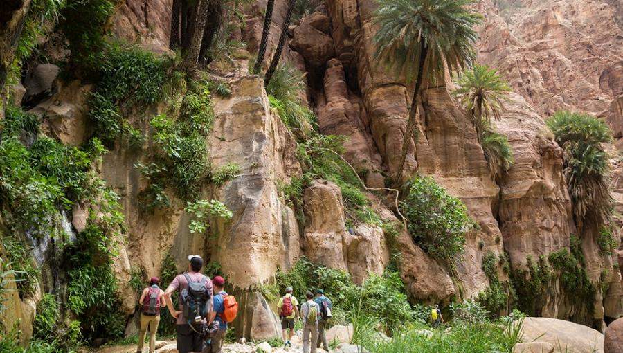 محمية ضانا | صور جوجل