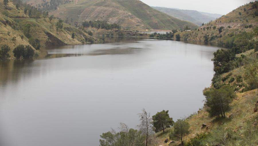 سد الملك طلال