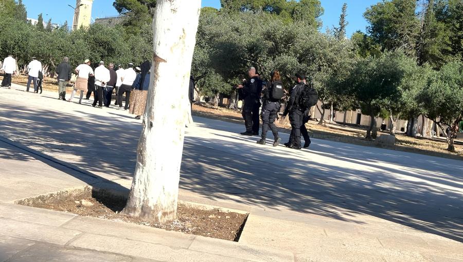 مستوطنون وجنود الاحتلال خلال أحد الاقتحامات السابقة للمسجد الأقصى | المصدر: العاصمة