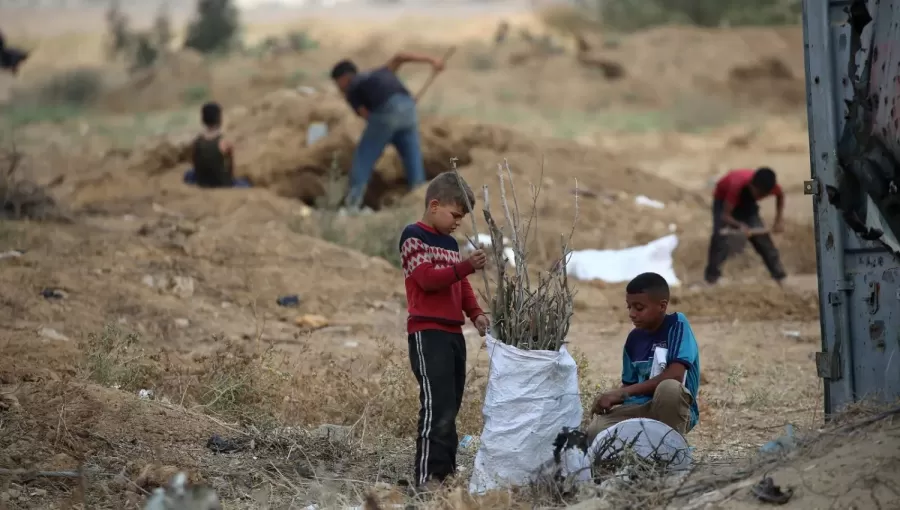 أطفال فلسطينيون يجمعون الحطب لاستخدامه في الطهي وسط نقص الوقود بقرية جحر الديك شرق مخيم البريج وسط غزة 3/11/2025 | وكالة الأنباء الفرنسية