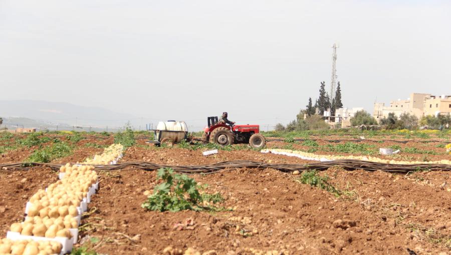 إحدى المزارع في الأردن | حبر