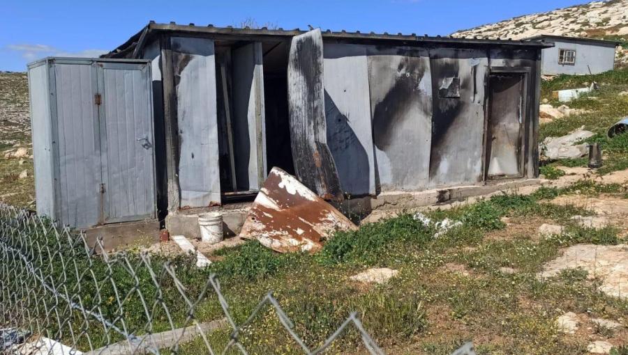 مستوطنون ينهبون ممتلكات الفلسطينيين في تجمع خلة السدرة البدوي قرب بلدة مخماس شمال شرق القدس 8/3/2026 | فلسطين بوست