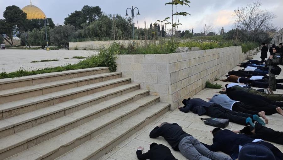 مستوطنون يدنسون الأقصى عبر تأدية طقوس تلمودية في باحاته 9/4/2026