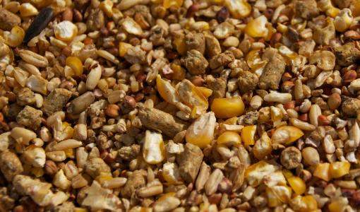 اعلاف- صورة تعبيرية