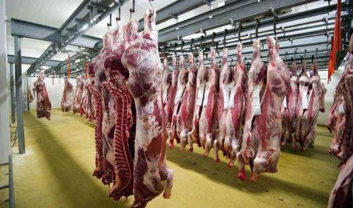 صور من مسلخ الكدرو احدى المسالخ التي اعتمدها الأردن في السودان