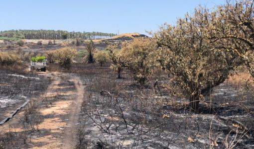 صور من الحريق المفتعل الأخير في منطقة وادي الأردن