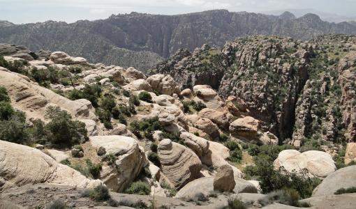 محمية ضانا | صور جوجل