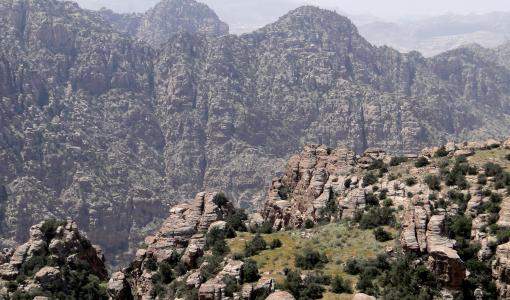 محمية ضانا | صور جوجل