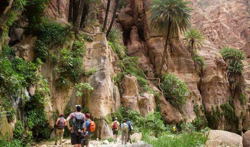 محمية ضانا | صور جوجل