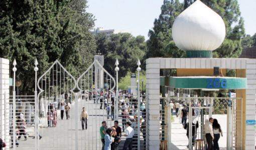 الجامعة الأردنية- عمان