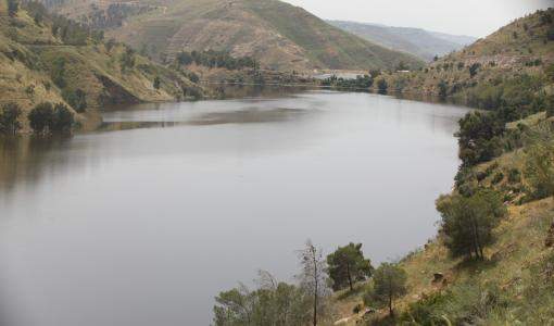 سد الملك طلال