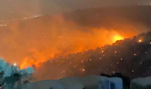 النيران مشتعلة في أشجار بلوط بمحمية غابات اليرموك- السبت 14 أيار/ مايو 2022