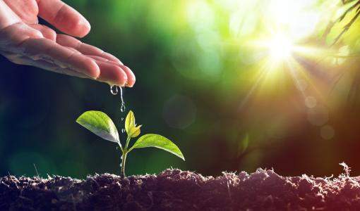 يوم البيئة العالمي يوم البيئة العالمي