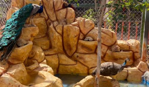 حديقة السوسنة السوداء