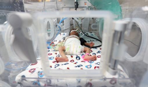 طفل خداج في حاضنة في مستشفى الشفاء في غزة 22/10/2023 | المصدر: رويترز