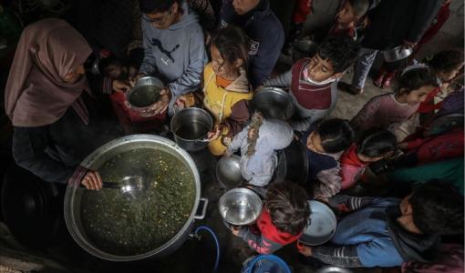 امرأة من غزة تحضر الطعام وتوزعه | أرشيفية الأناضول