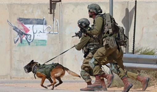 صورة أرشيفية لجنود من جيش الاحتلال الإسرائيلي مع كلب يعتمدون عليه في عمليات الاقتحام | المصدر: وكالة الأنباء الفرنسية