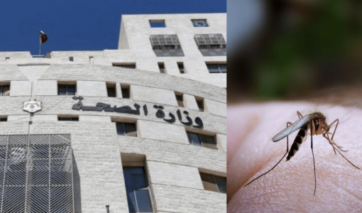 مبنى وزارة الصحة مع صورة تعبيرية لبعوضة