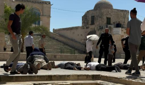 مستوطنون يؤدون سجودا جماعيا بالقرب من باب القطانين أحد أبواب المسجد الأقصى 13/8/2024 | المصدر: فلسطين بوست
