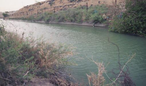 قناة الملك عبد الله | المصدر: المملكة