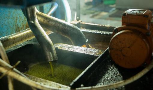 مرحلة فرز الزيت عن الماء في معصرة حوفا الوسطية | المصدر: حبر