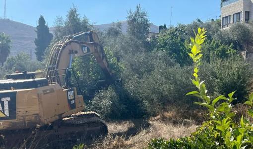 جرافات الاحتلال تقتلع أشجار الزيتون بالضفة | المصدر: الجزيرة