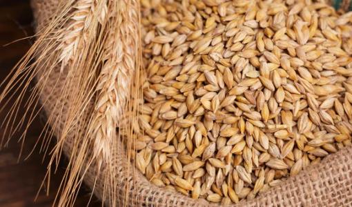 تعبيرية | كيس قمح