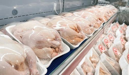 دجاج طازج | تعبيرية