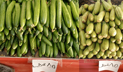 خيار وكوسا في أحد المحلات في المفرق 4/3/2025 | المصدر: مواقع التواصل