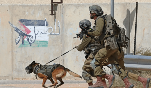 اثنان من جنود الاحتلال معهما كلب في الضفة الغربية | المصدر: Getty Images