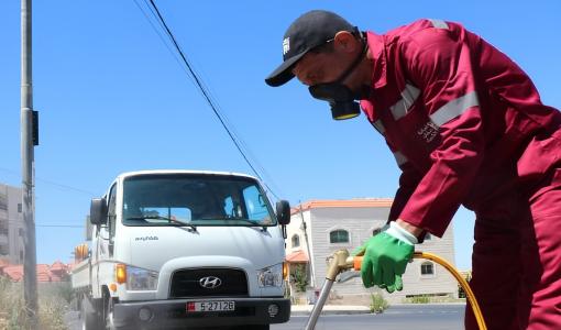 أرشيفية لأحد طواقم أمانة عمان خلال عملية رش أحد المناهل | المصدر: أمانة عمان