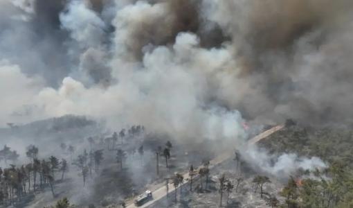 صورة للحرائق المندلعة في سوريا | المصدر: مواقع التواصل