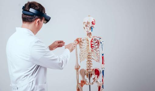 طبيب يفحص هيكل عظمي | تعبيرية freepik
