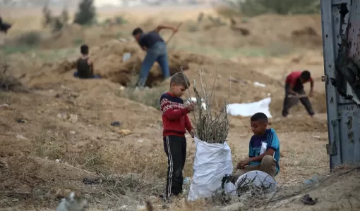 أطفال فلسطينيون يجمعون الحطب لاستخدامه في الطهي وسط نقص الوقود بقرية جحر الديك شرق مخيم البريج وسط غزة 3/11/2025 | وكالة الأنباء الفرنسية