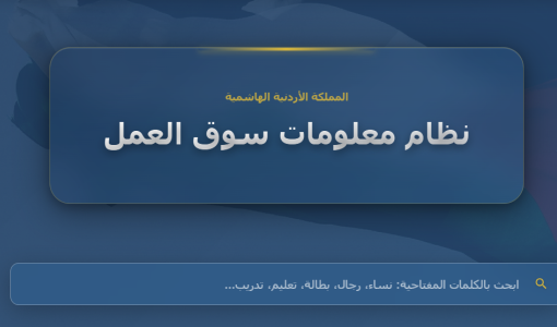 لقطة شاشة من موقع نظام معلومات سوق العمل