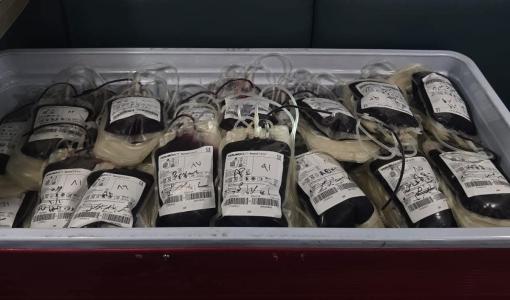 وحدات دم خلال حملة تبرع بالدم أقامتها مديرية بنك الدم 10/10/2025 | مديرية بنك الدم