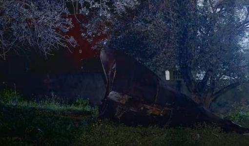 شظايا صاروخ إيراني في منطقة أبان بمحافظة إربد | المملكة