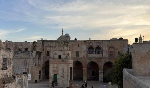 باحات المسجد الأقصى 13/5/2026 | فلسطين بوست