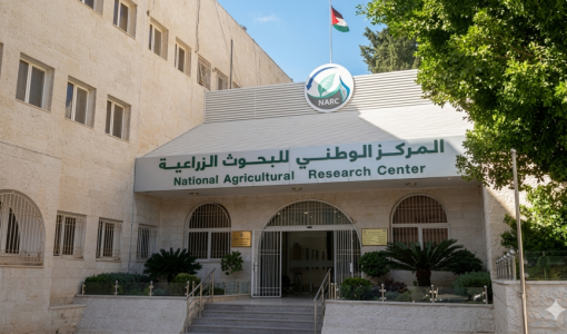 المركز الوطني للبحوث الزراعية