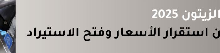 موسم زيت الزيتون 2025