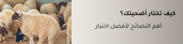 اختيار الأضحية