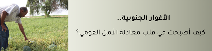 الأغوار الجنوبية
