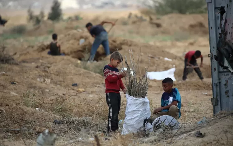 أطفال فلسطينيون يجمعون الحطب لاستخدامه في الطهي وسط نقص الوقود بقرية جحر الديك شرق مخيم البريج وسط غزة 3/11/2025 | وكالة الأنباء الفرنسية