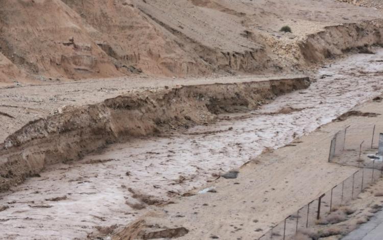 سيول في محيط سد وادي الكرك | المصدر: المملكة