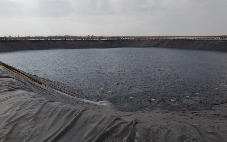 إحدى البرك الزراعية