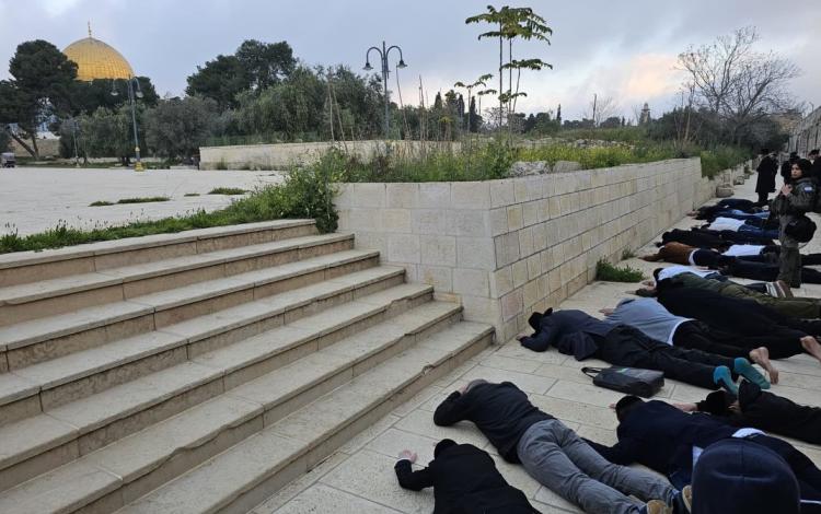 مستوطنون يدنسون الأقصى عبر تأدية طقوس تلمودية في باحاته 9/4/2026