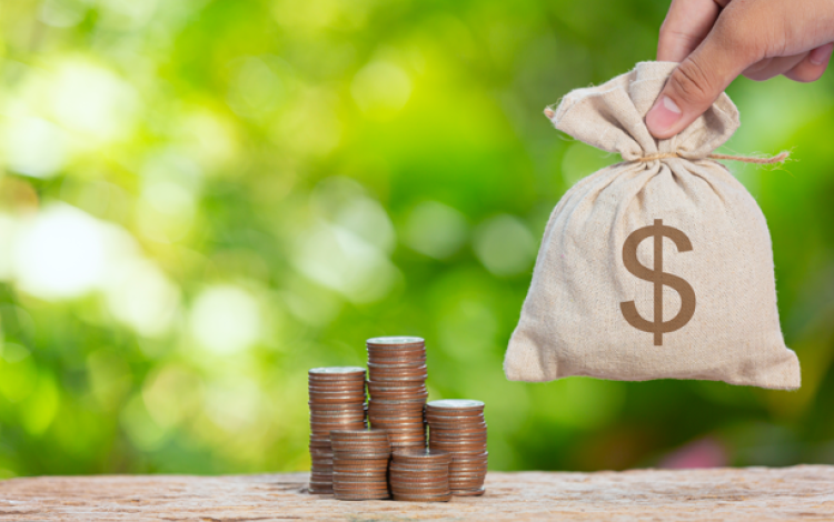 نقود معدنية وكيس نقود | تعبيرية freepik