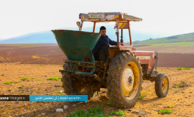 "العربية لحماية الطبيعة" تزرع 500 دونم مهددة بالمصادرة في فلسطين