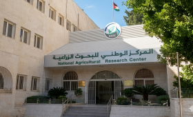 المركز الوطني للبحوث الزراعية